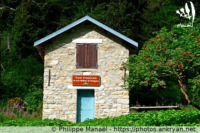 Cabane forestière (Savoie : Pralognan, Les Prioux / Balade / France / Savoie - FR-73) © Philippe Manaël