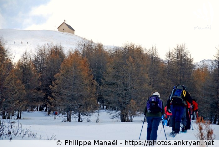 Bois de la Selle (Queyras, nouvel an à Molines / Trekking / France / Hautes-Alpes - FR-05) © Philippe Manaël