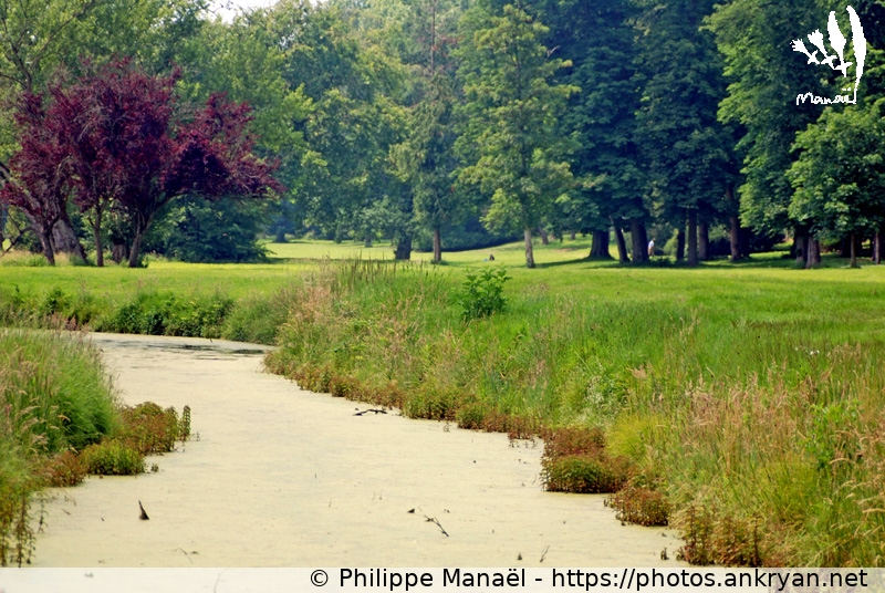 Rivière Guéville. Jardin anglais (Rambouillet / Ville / France / Île-de-France - FR-78) © Philippe Manaël