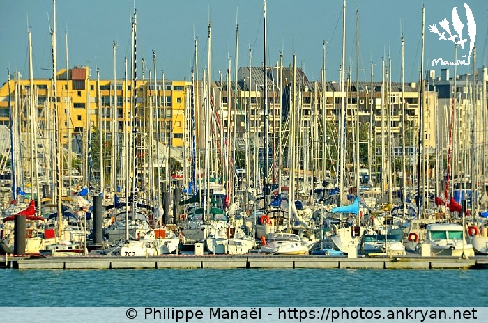 Port des Minimes (Remise des prix PULPE 2013 / Sortie en mer / France) © Philippe Manaël
