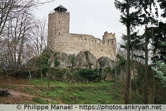 Château du Bernstein (Alsace Médiévale : Réveillon de l'an / Trekking / France / Alsace - FR-67) © Philippe Manaël