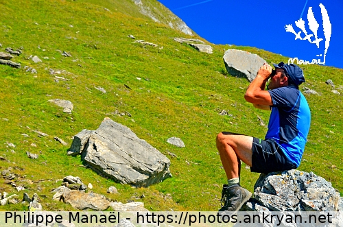 Randonneur perché aux jumelles (Tour des Glaciers de la Vanoise / Trekking / France) © Philippe Manaël