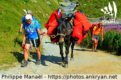 Petit raidillon (Tour des Glaciers de la Vanoise / Trekking / France / Savoie - FR-73) © Philippe Manaël