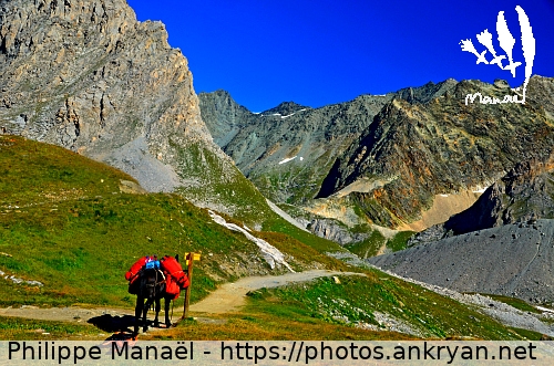 Bifurcation au col de la Vanoise (Tour des Glaciers de la Vanoise / Trekking / France / Savoie - FR-73) © Philippe Manaël