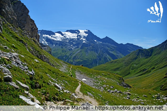 Grand Bec et Becca Motta (Traversée de la Vanoise / Trekking / France / Savoie - FR-73) © Philippe Manaël