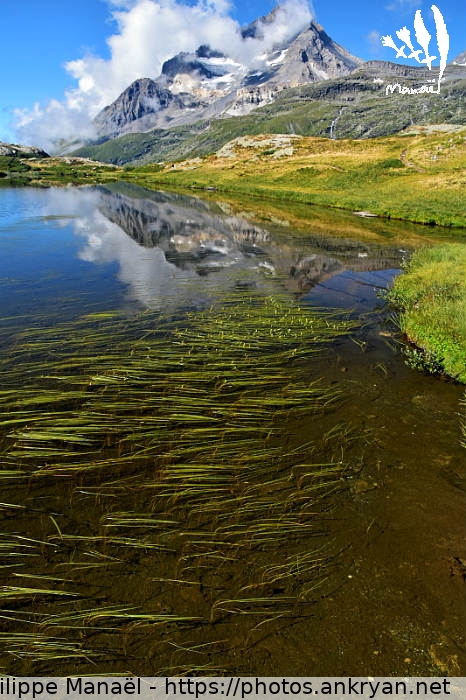 Lac Blanc de Termignon 2 (Traversée de la Vanoise / Trekking / France / Savoie - FR-73) © Philippe Manaël