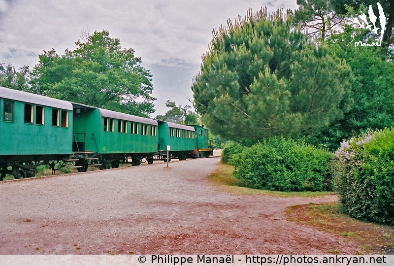 Ecomusée de Marquèze : Train vert (Traversée des Landes / Trekking / France / Landes - FR-40) © Philippe Manaël