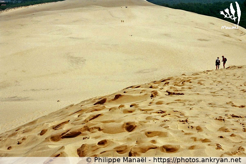 Immensité sableuse, Dune du Pilat (Traversée des Landes / Trekking / France / Gironde - FR-33) © Philippe Manaël