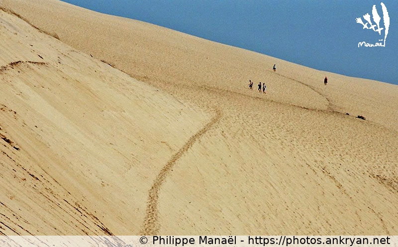 Dune du Pilat, descente d'un désert (Traversée des Landes / Trekking / France / Gironde - FR-33) © Philippe Manaël