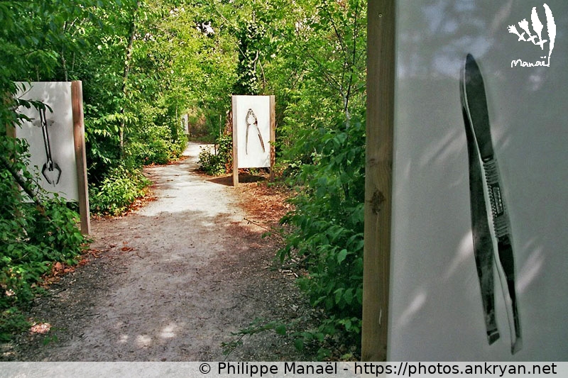 Parc du Teich : Sentier rouge-gorge, chemin des outils (Traversée des Landes / Trekking / France / Gironde - FR-33) © Philippe Manaël