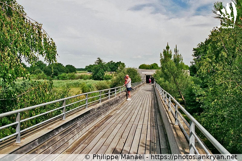 Parc du Teich : Passerelle de la Maison de la Nature (Traversée des Landes / Trekking / France / Gironde - FR-33) © Philippe Manaël