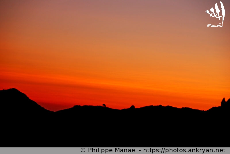 Soleil couchant depuis le Soum de Lèche (Traversée des Pyrénées par la HRP / Trekking / France / Pyrénées-Atlantiques - FR-64) © Philippe Manaël