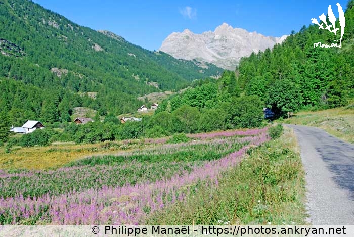 Vallée de la Haute Clarée (Vallée de la Clarée et Mont Thabor / Trekking / France / Hautes-Alpes - FR-05) © Philippe Manaël