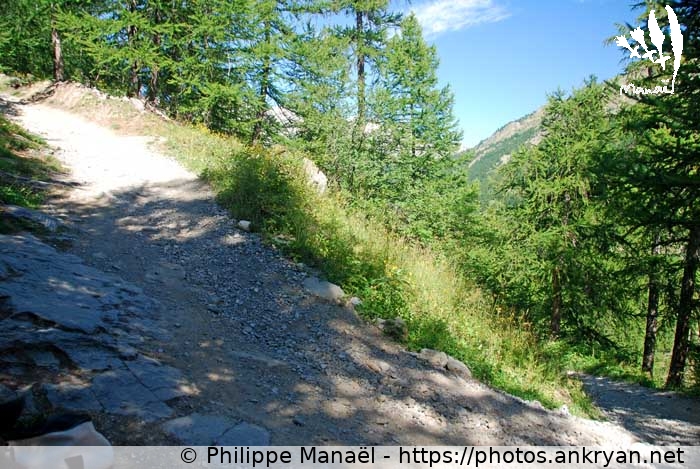 Sentier de la Gardiole (Vallée de la Clarée et Mont Thabor / Trekking / France / Hautes-Alpes - FR-05) © Philippe Manaël