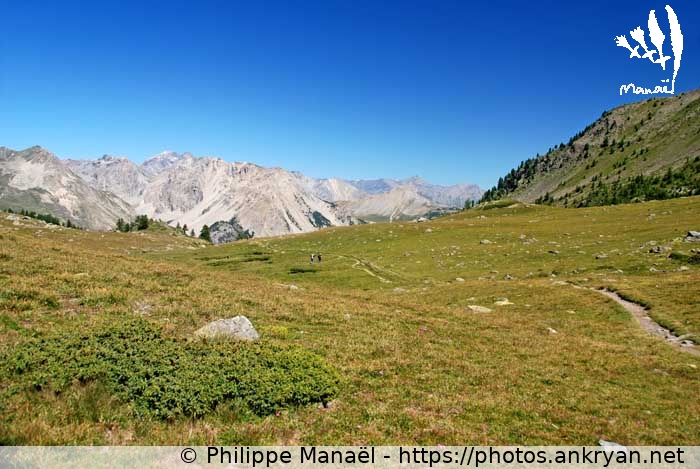 Vallon de Cristol (Vallée de la Clarée et Mont Thabor / Trekking / France / Hautes-Alpes - FR-05) © Philippe Manaël