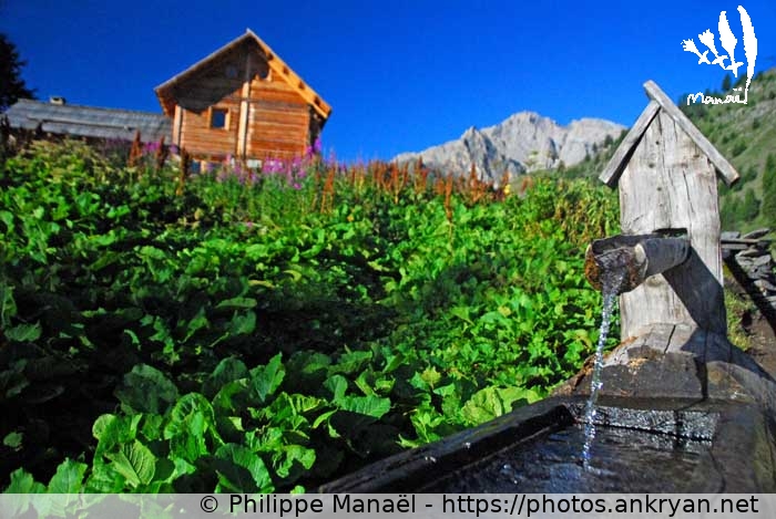 Fontaine du refuge Buffère (Vallée de la Clarée et Mont Thabor / Trekking / France / Hautes-Alpes - FR-05) © Philippe Manaël