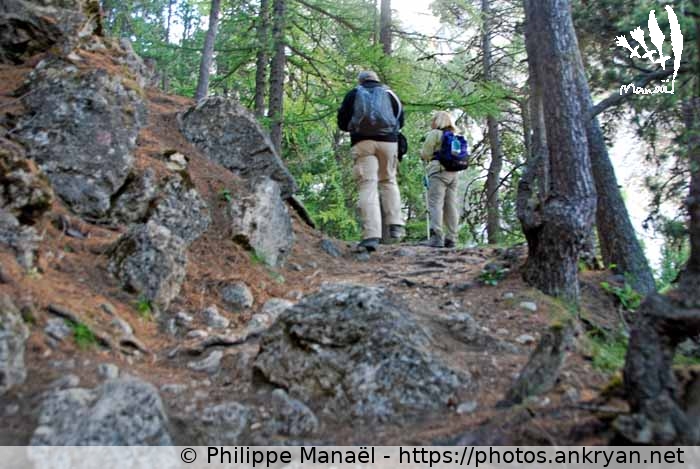 Pierriers des Rois Mages (Vallée de la Clarée et Mont Thabor / Trekking / France / Hautes-Alpes - FR-05) © Philippe Manaël