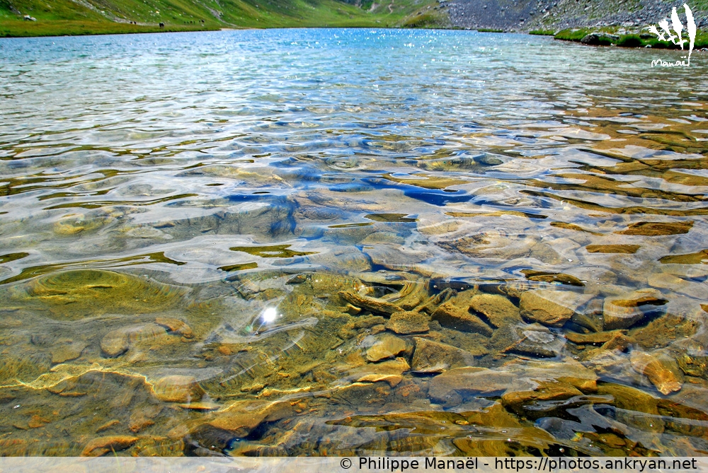 Lac de l'Oronaye, eau translucide (Hautes vallées piémontaises / Italie / Alpes-de-Haute-Provence - FR-04) © Philippe Manaël