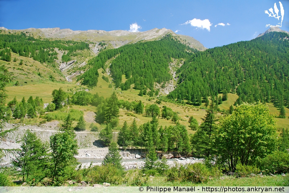 Torrent de Bouchouse, L'Echalp (Hautes vallées piémontaises / Italie / Hautes-Alpes - FR-05) © Philippe Manaël