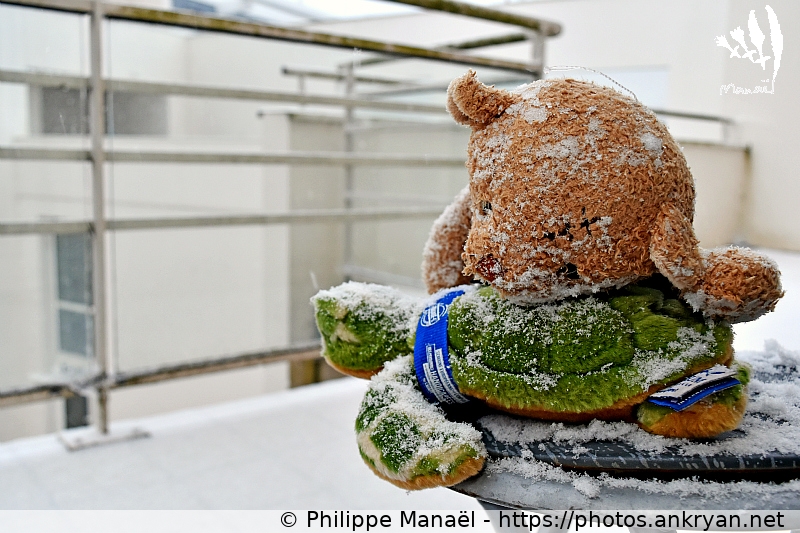 La Rochelle : première découverte neigeuse 2 (Duo Solidaire / Poitou-Charentes - FR-17) © Philippe Manaël