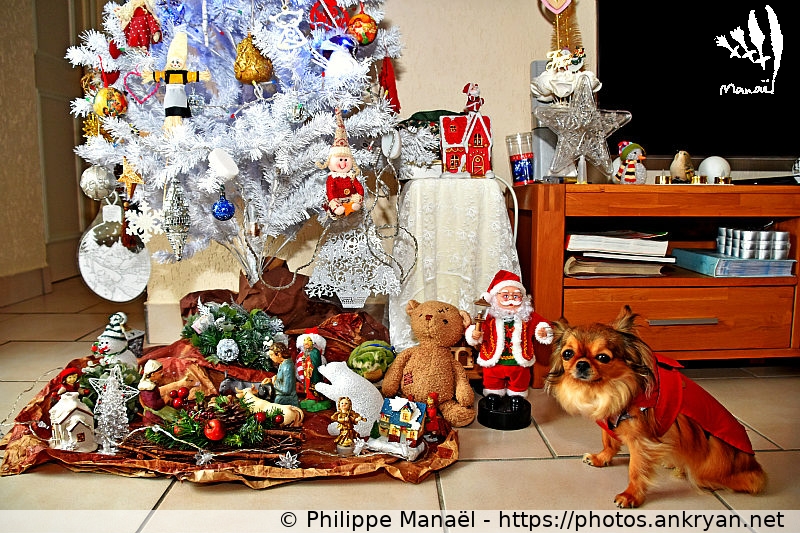 1er Noël : sous le sapin avec Hisis la Bretonne (Duo Solidaire / Finistère - FR-29) © Philippe Manaël