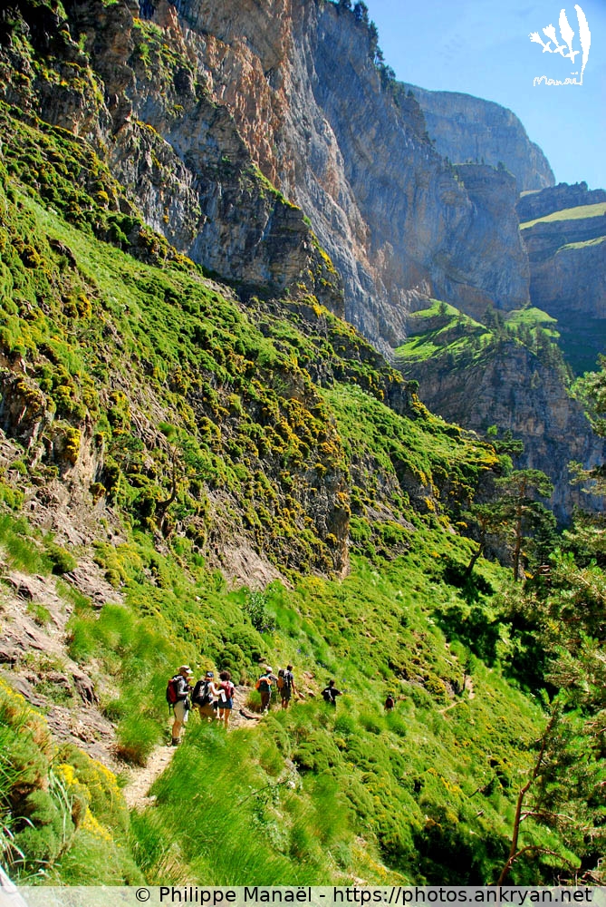 Vire des Fleurs. Parc d'Ordesa (Cirques et Canyons du Mont Perdu / Espagne / Aragon - ES) © Philippe Manaël