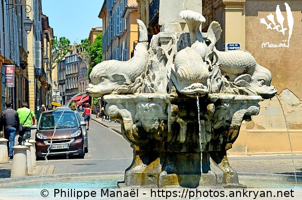 Fontaine des Quatre-Dauphins (Aix-en-Provence / Ville / France / Bouches-du-Rhône - FR-13) © Philippe Manaël