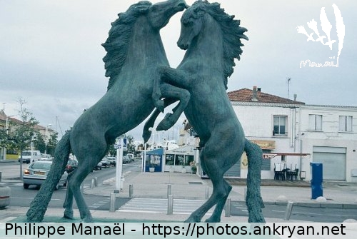 Le Grau-du-Roi, chevaux de Camargue (Au long du Golfe d'Aigues-Mortes / Trekking / France / Gard - FR-30) © Philippe Manaël