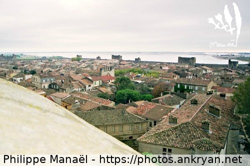 Panorama sur la cité médiévale (Au long du Golfe d'Aigues-Mortes / Trekking / France / Gard - FR-30) © Philippe Manaël