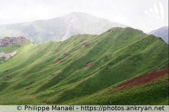 Pliures verdoyantes du Val de Courre (Auvergne, au pays des volcans / Trekking / France / Auvergne - FR-63) © Philippe Manaël