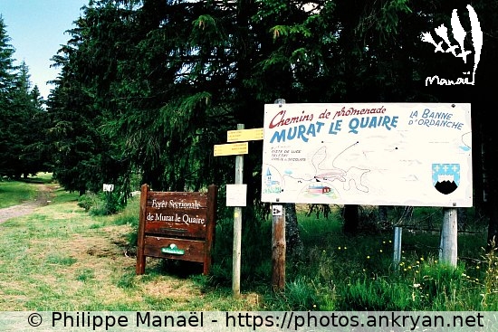Forêt sectionale de Murat-le-Quaire (Auvergne, au pays des volcans / Trekking / France / Auvergne - FR-63) © Philippe Manaël