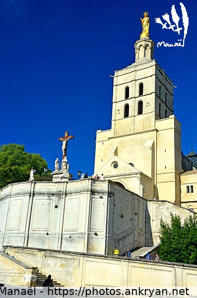 Cathédrale Notre-Dame des Doms (Avignon / Ville / France / Vaucluse - FR-84) © Philippe Manaël