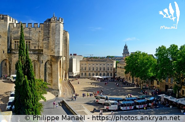 Place du Palais des Papes (Avignon / Ville / France / Vaucluse - FR-84) © Philippe Manaël