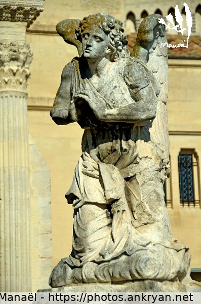 Ange de Notre-Dame des Doms, 2 (Avignon / Ville / France / Vaucluse - FR-84) © Philippe Manaël