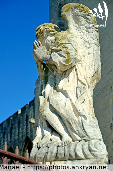 Ange de Notre-Dame des Doms, 1 (Avignon / Ville / France / Vaucluse - FR-84) © Philippe Manaël