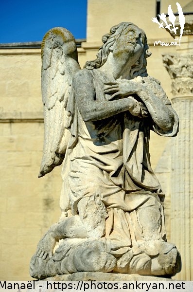 Ange de Notre-Dame des Doms, 3 (Avignon / Ville / France / Vaucluse - FR-84) © Philippe Manaël