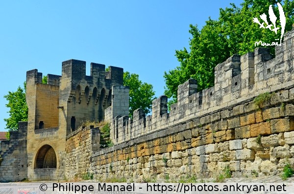 Remparts (Avignon / Ville / France / Vaucluse - FR-84) © Philippe Manaël