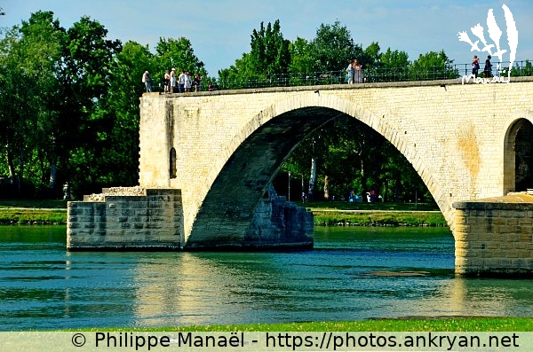Le pont Saint-Bénézet (Avignon / Ville / France / Vaucluse - FR-84) © Philippe Manaël