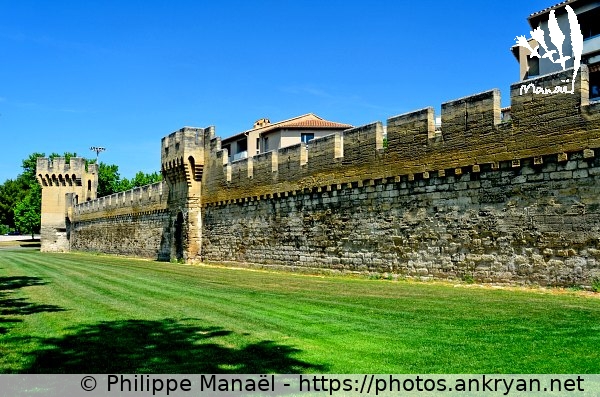 Anciens remparts (Avignon / Ville / France / Vaucluse - FR-84) © Philippe Manaël