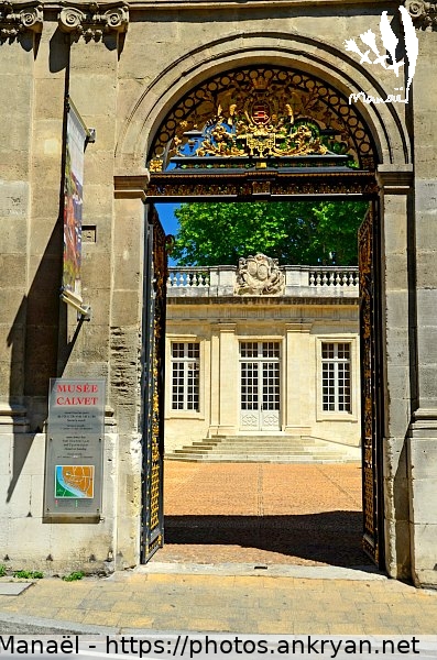 Musée Calvet (Avignon / Ville / France / Vaucluse - FR-84) © Philippe Manaël