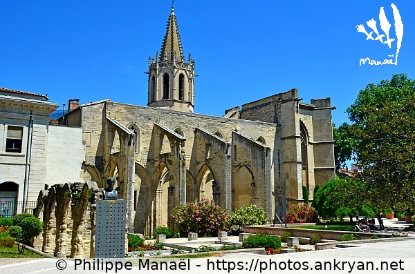 Église Saint-Martial (Avignon / Ville / France / Vaucluse - FR-84) © Philippe Manaël