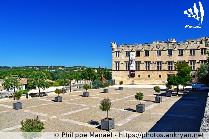 Musée du Petit Palais (Avignon / Ville / France / Vaucluse - FR-84) © Philippe Manaël