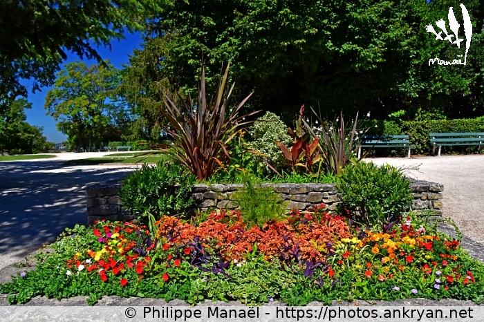 Jardin des Doms : parterre fleuri (Avignon / Ville / France / Vaucluse - FR-84) © Philippe Manaël
