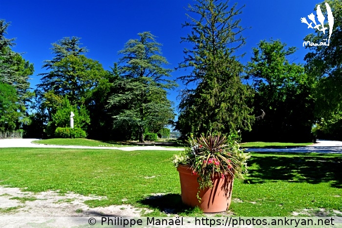 Parc citadin du Jardin des Doms (Avignon / Ville / France / Vaucluse - FR-84) © Philippe Manaël
