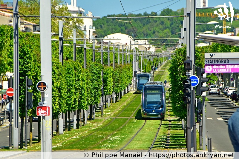 Ligne A du tramway, Stalingrad (Bordeaux / Ville / France / Gironde - FR-33) © Philippe Manaël