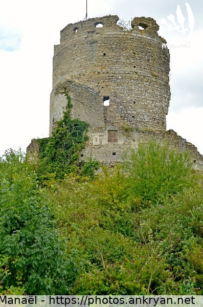  Château de Château-sur-Epte : donjon circulaire (Dangu / Ville / France / Haute-Normandie - FR-27) © Philippe Manaël