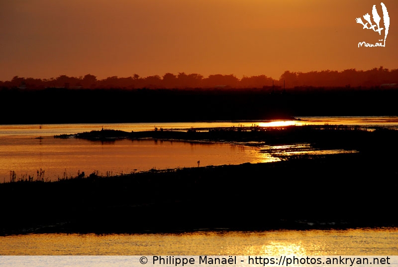 Soleil couchant sur le fier d'Ars, 2 (Ile de Ré / Ile / France / Poitou-Charentes - FR-17) © Philippe Manaël