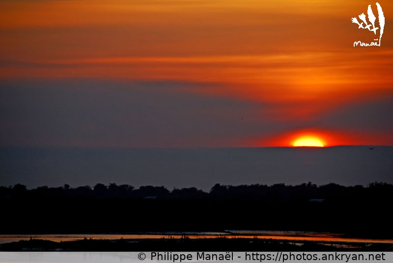 Soleil couchant sur le fier d'Ars, 3 (Ile de Ré / Ile / France / Poitou-Charentes - FR-17) © Philippe Manaël