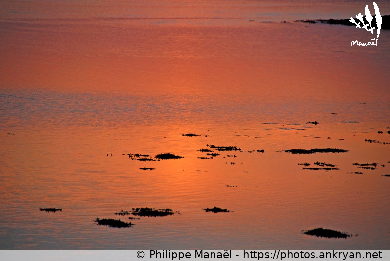Soleil couchant et reflets (Ile de Ré / Ile / France / Poitou-Charentes - FR-17) © Philippe Manaël