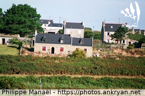 Maisons de Lampaul (Ile d'Ouessant / Ile / France / Finistère - FR-29) © Philippe Manaël